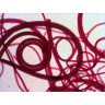 Набор готовых микропрепаратов LEVENHUK N80 NG «Увидеть все!» 29280